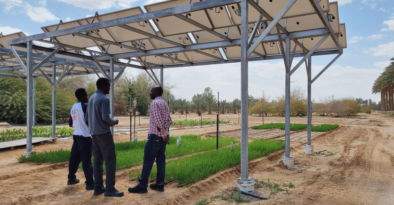 The Agrivoltaics