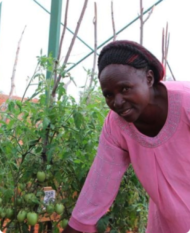 tackle food insecurity